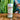 salt shaker