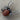 Spider Brooch / Pendant