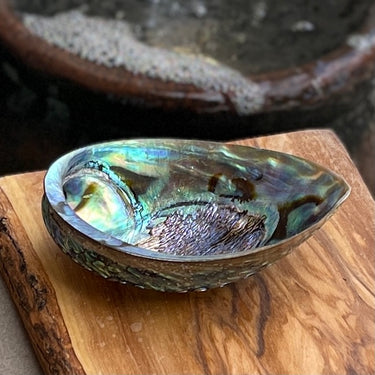 Abalone Shell / Smudging Bowl