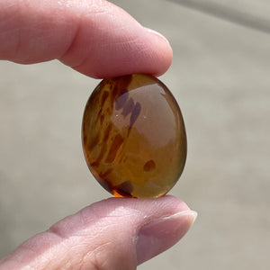 Amber (Polished, Tumbled)