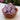 Amethyst Spheres (Small)