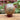 Cherry Creek Jasper Spheres