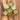 Citrine Cubes