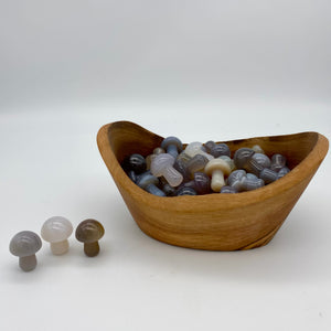 Grey Agate Mushroom