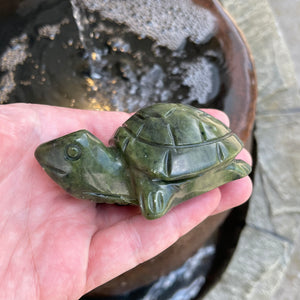 Green Jade Turtles