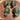 Green Jade Turtles