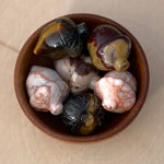 Load image into Gallery viewer, Acorns
