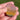 Ocean Jasper Worry Stone