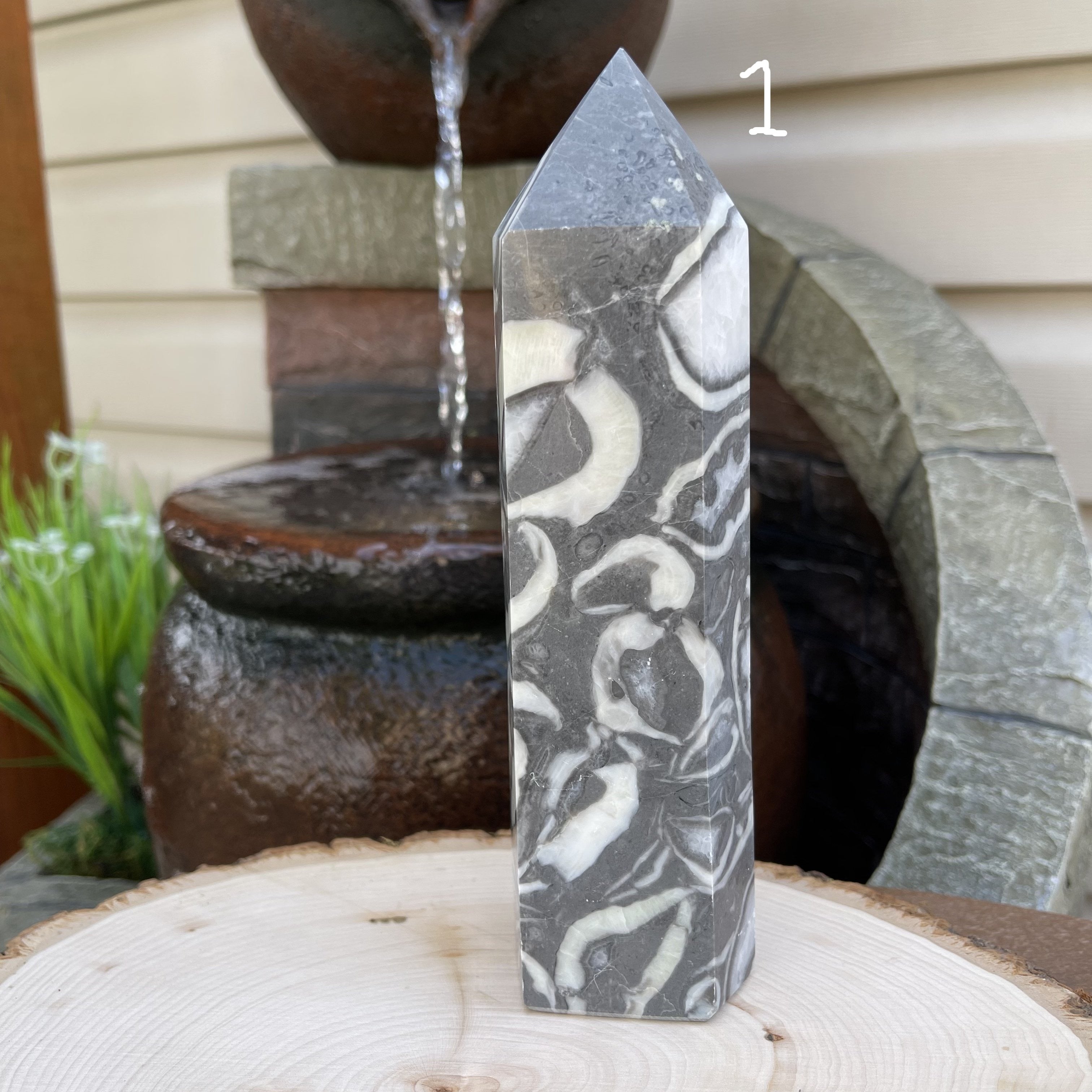 Shell Jasper Towers - Various