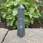 Load image into Gallery viewer, Moss Agate Points
