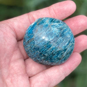 Blue Apatite Palm Stone