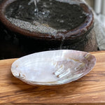 Load image into Gallery viewer, Pearl Shell / Smudging Bowl
