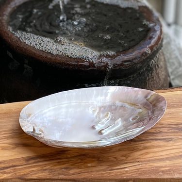 Pearl Shell / Smudging Bowl