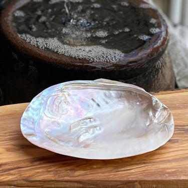 Pearl Shell / Smudging Bowl