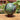 Ruby Zoisite Spheres - Various