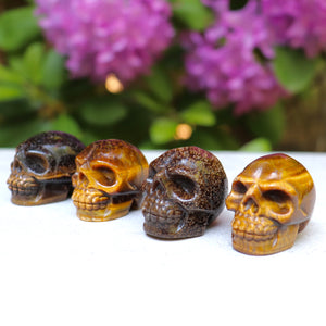 Tiger Eye Skull