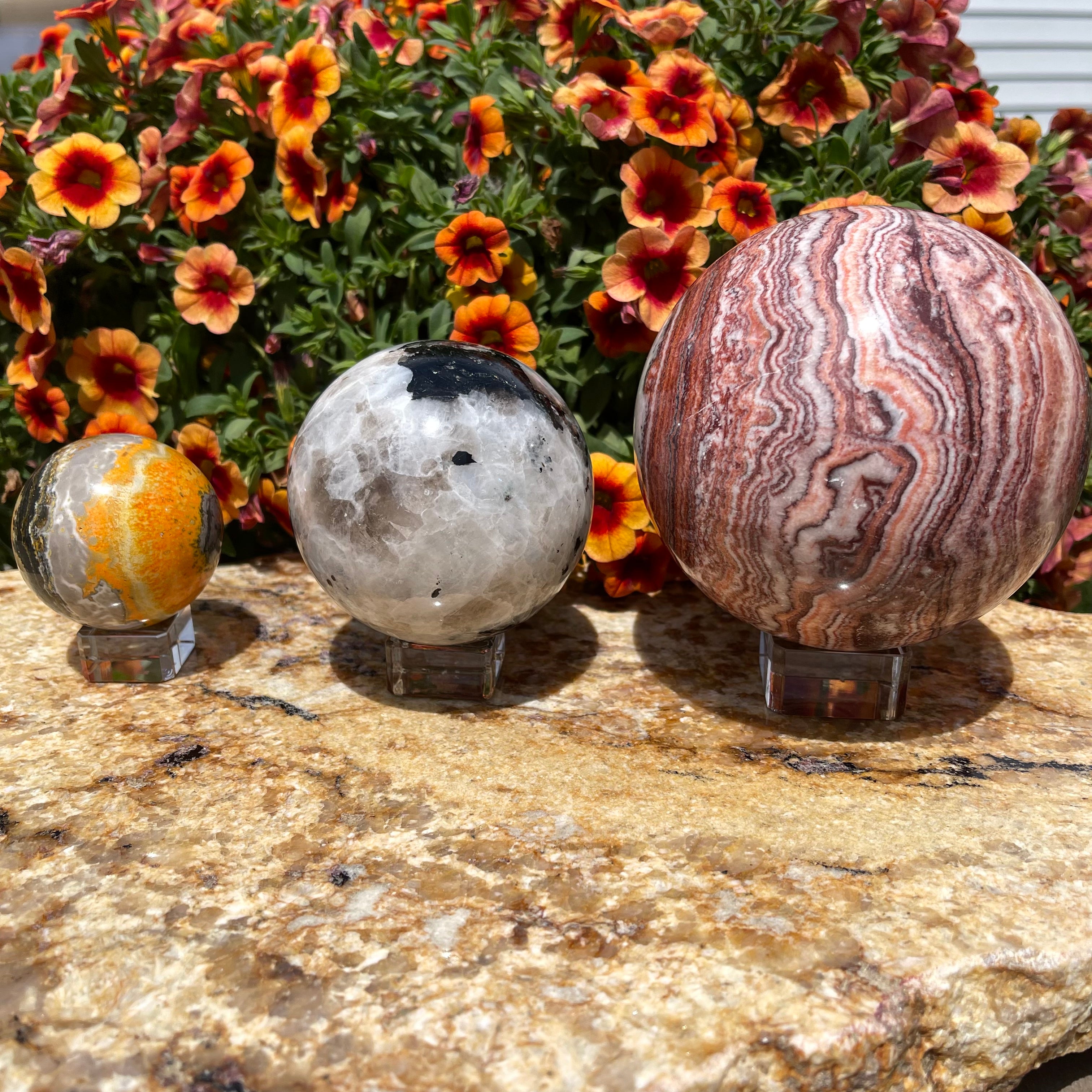 Sphere Stand - Glass (Various Sizes)