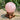 Rose Quartz Spheres