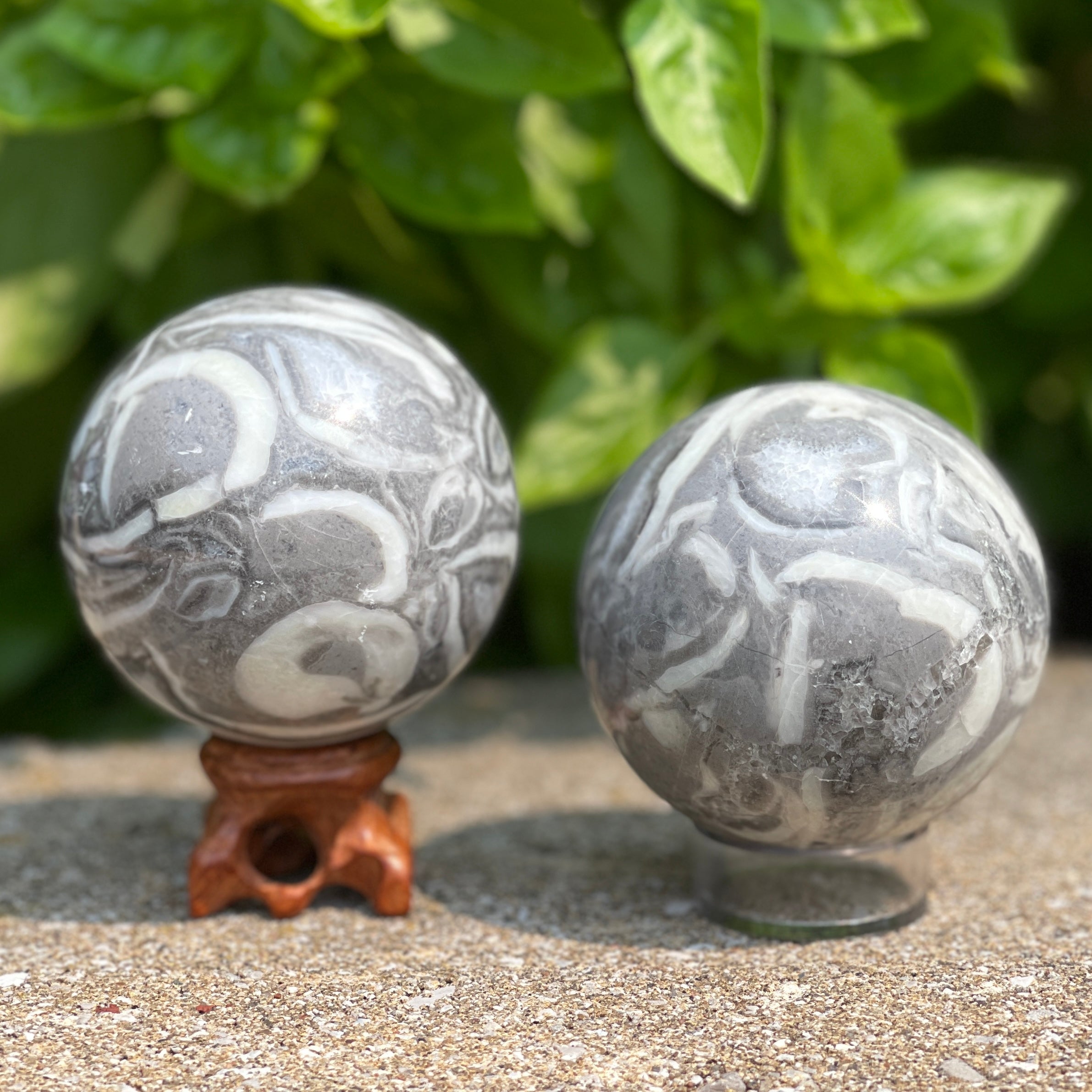 Shell Jasper Spheres