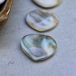 Sun Shell Fossil Heart