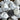 Howlite Tumbles
