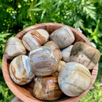 Load image into Gallery viewer, Petrified Wood (Polished, Tumbled)
