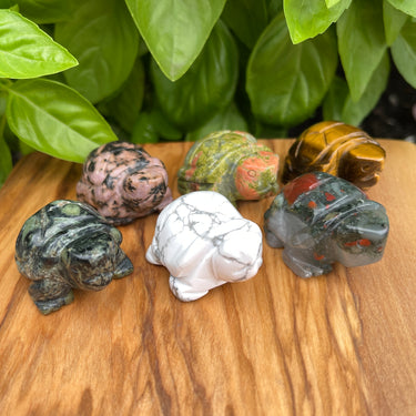 Turtles - Various Materials