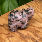 Load image into Gallery viewer, Turtles - Various Materials
