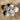 Selenite (Satin Spar) Palm Stones - White or Orange